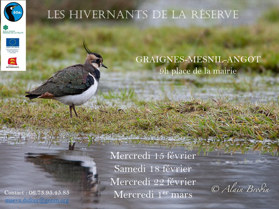 Affiche février RNR marais de la Taute.