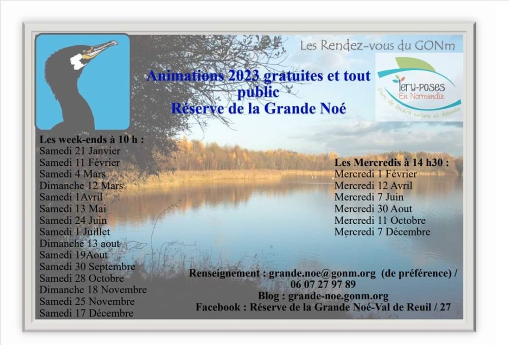 Affiche La Grande Noé