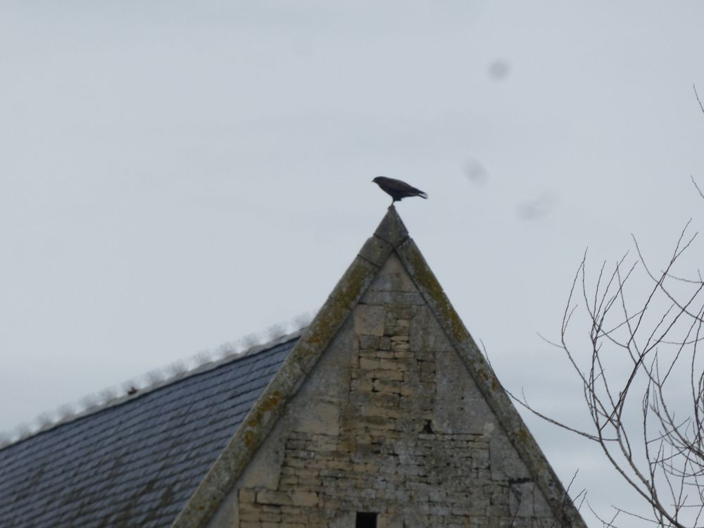 Bretteville-sur-Odon/14 buse variable