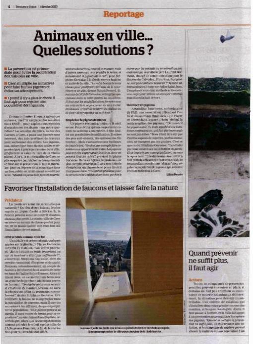 Tendances Ouest 2023_02_01