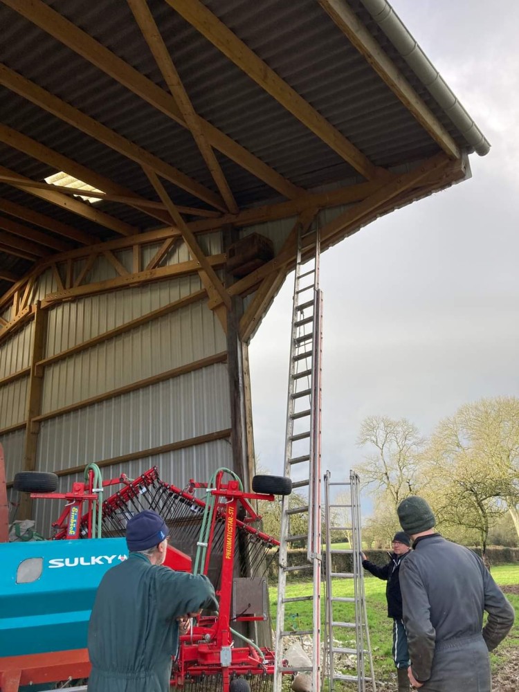 Pose d'un nichoir à la ferme des hirondelles aux Ifs.