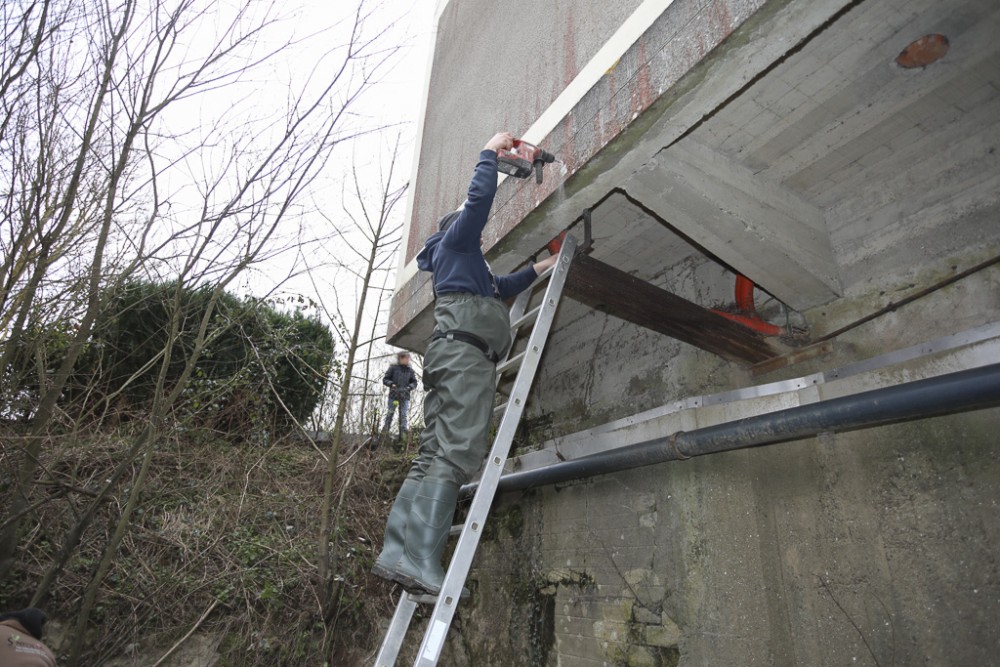 Franck installe le nichoir à La Mancellière sur le local technique de la micro-centrale qui a été maintenu.