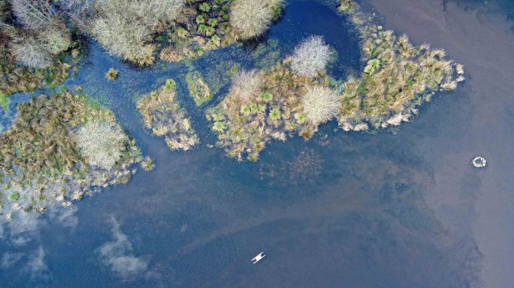 Vue drone queue de lac central, touradon de carex, radeau
