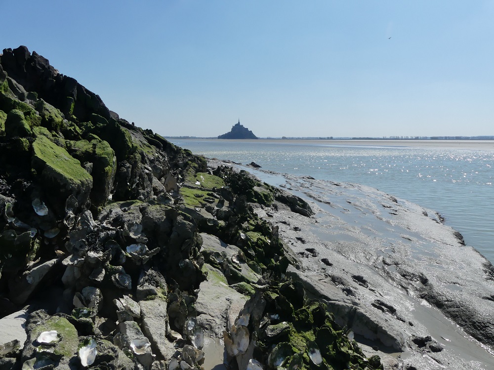 vue vers le Mt St Michel.JPG