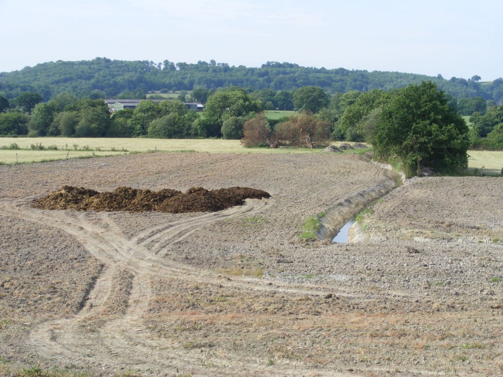 10 juin 2015, fossé recreusé pour accélérer l'assèchement; des arbres en feuille ont été abattus à l'arrière plan. D'après le niveau de l'eau du fossé, on peut mesurer la faible profondeur de la nappe qui participera &quot;à la vie du sol&quot; (fumier enterré lors du labour, puis épandage du désherbant).