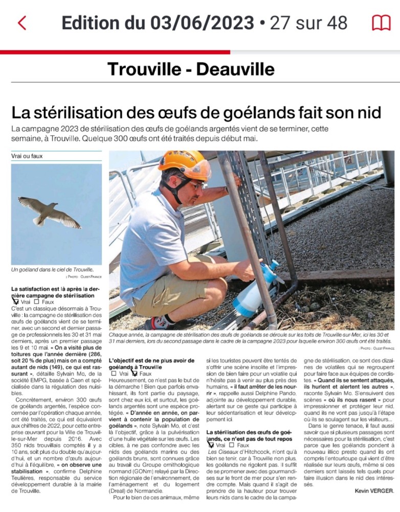 goélands_20230604-Ouest-France .jpg (490.96 Kio) Vu 4865 fois Ouest-France_Trouville_2023_06_04