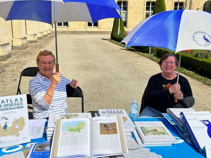 sous le soleil, les parapluies servent