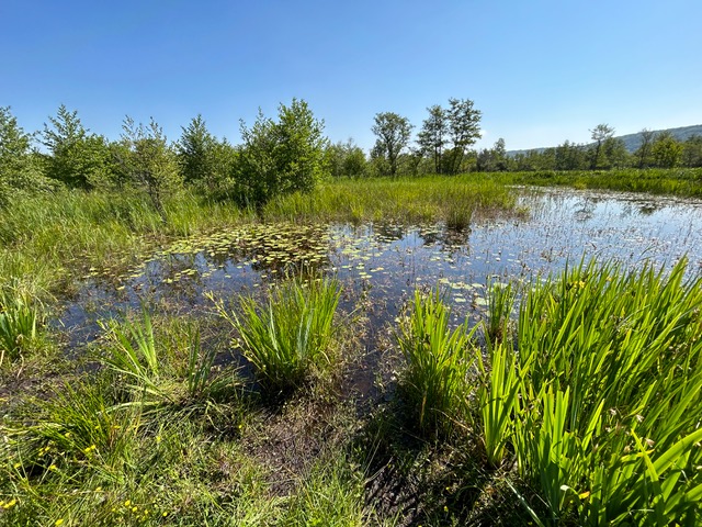 belle biodiversité