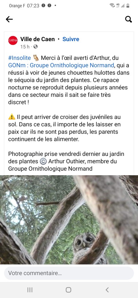 Page Facebook Ville de Caen partagée sur page FB du GONm. 2023_06_09