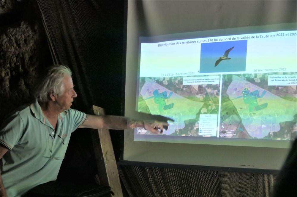 Conférence d'Alain Chartier sur le balisage des courlis cendrés.