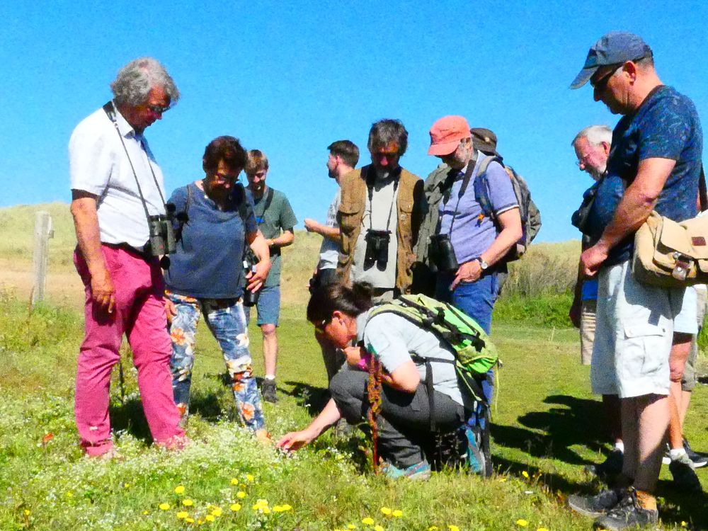 A la recherche des petites bêtes et petites plantes avec Marie-Léa.