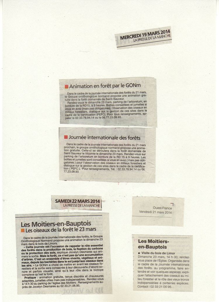 animation Bois de Limors113.jpg