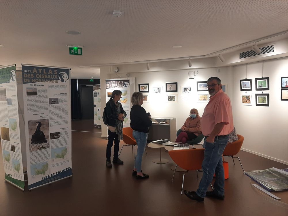 Une partie de l'expo. Xavier Niedergang, bénévole exposant est au premier plan. (Photos : Philippe Gachet)