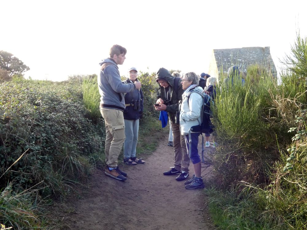 Corentin Rivière, technicien en baie du Mont-Saint-Michel et à la maison de l'oiseau migrateur présente la migration sur les falaises de Carolles.