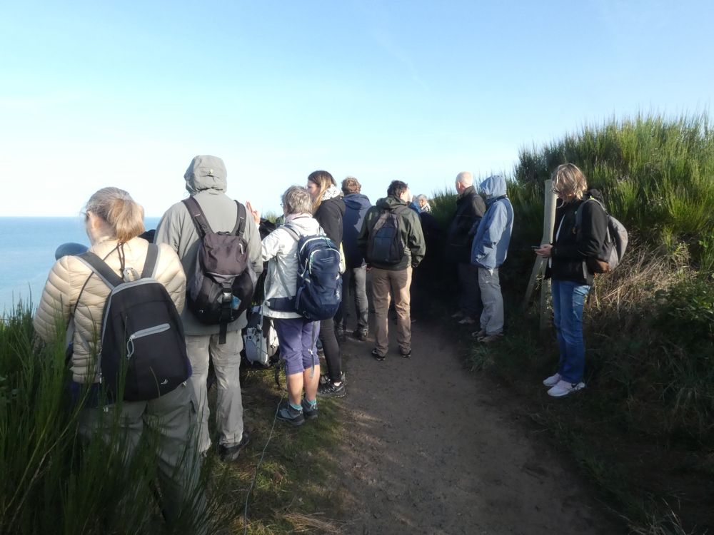 Il y avait du monde le samedi matin sur la falaise. Cela tombait bien! Les oiseaux passaient en nombre et en diversité.