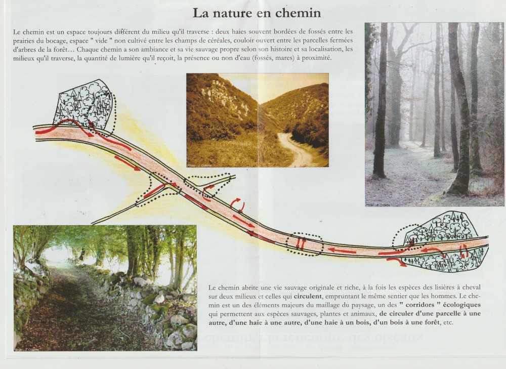 Numériser 2.jpeg (553.44 Kio) Vu 13223 fois pli central