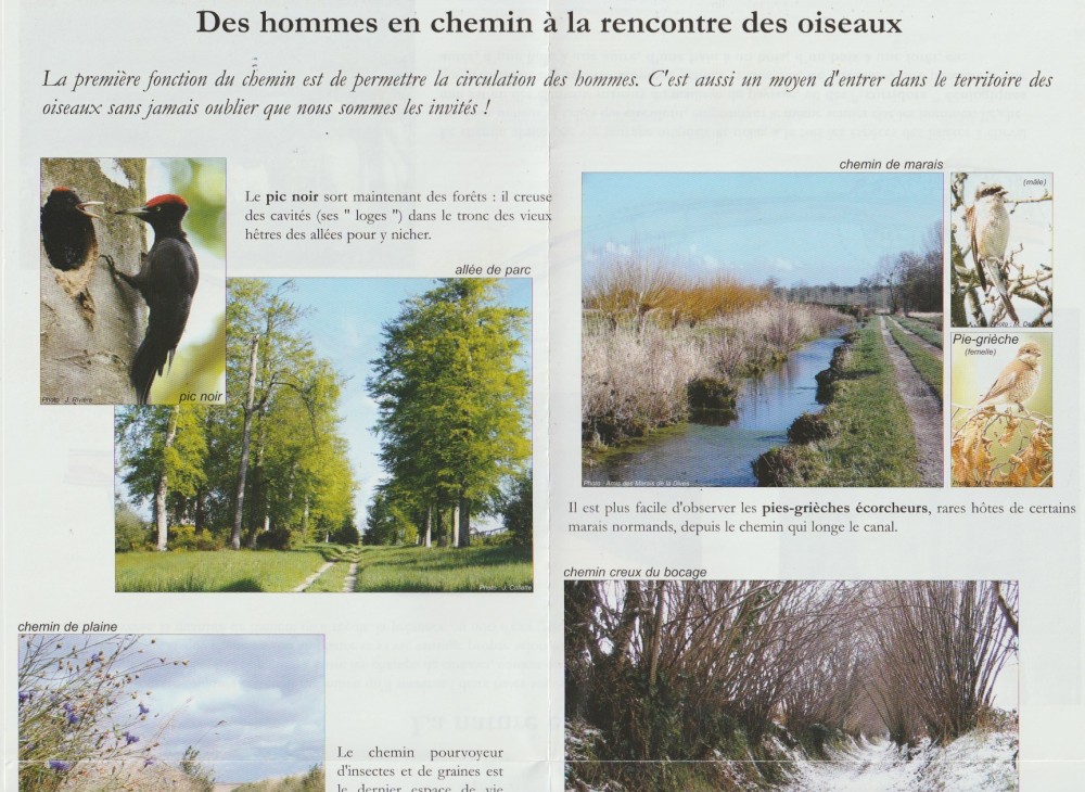 Numériser 3.jpeg (576.51 Kio) Vu 13223 fois page A3 dépliée, verso haut