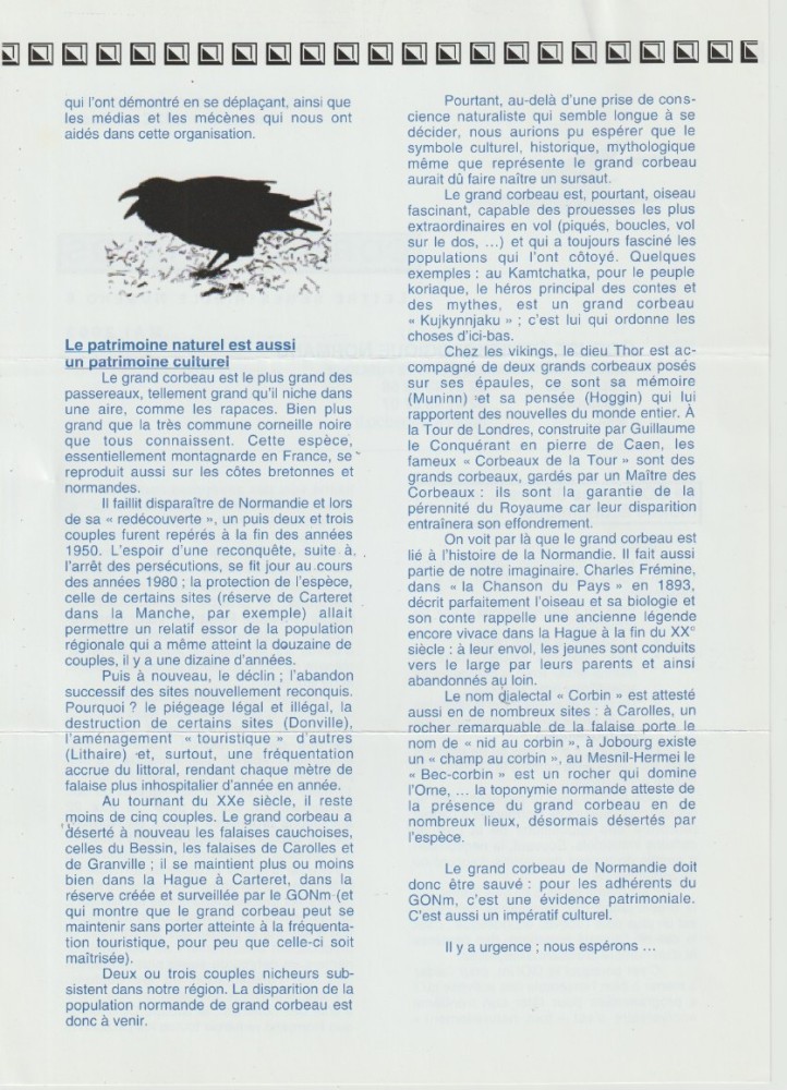 verso n°6