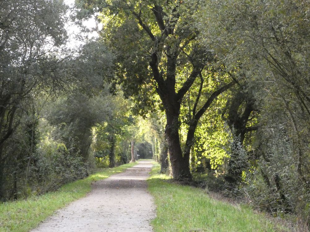 Voie verte vers Bretteville-sur-Odon