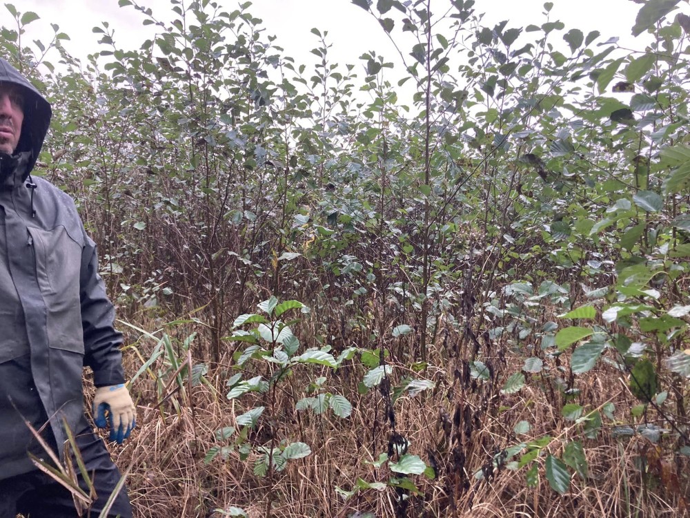 401138923_620511106955079_4756350430184168048_n.jpg (684.04 Kio) Vu 10577 fois En arrivant