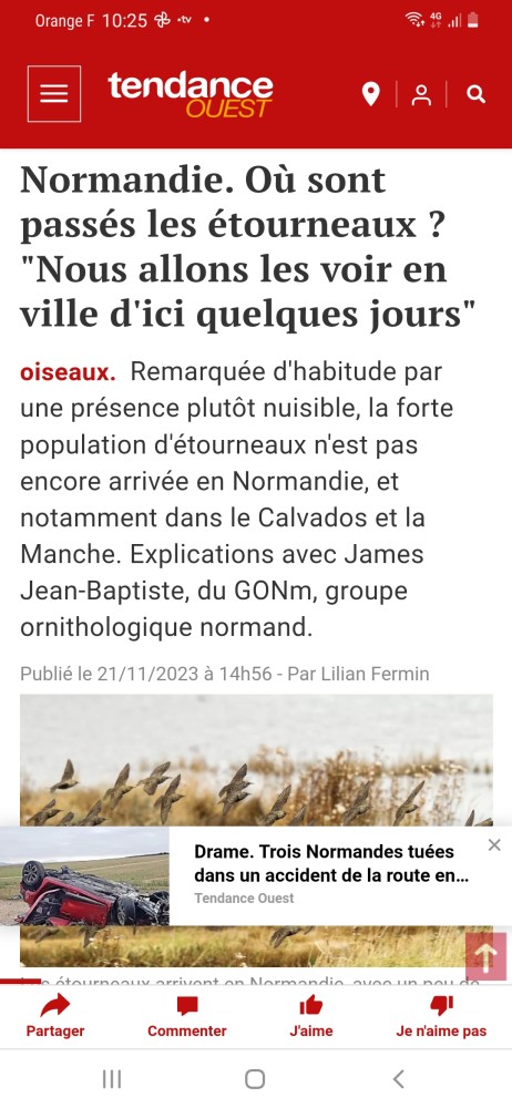 Etourneau_Tendance_Ouest_ 20231201.jpg (750.85 Kio) Vu 4002 fois Tendance Ouest gratuit caennais