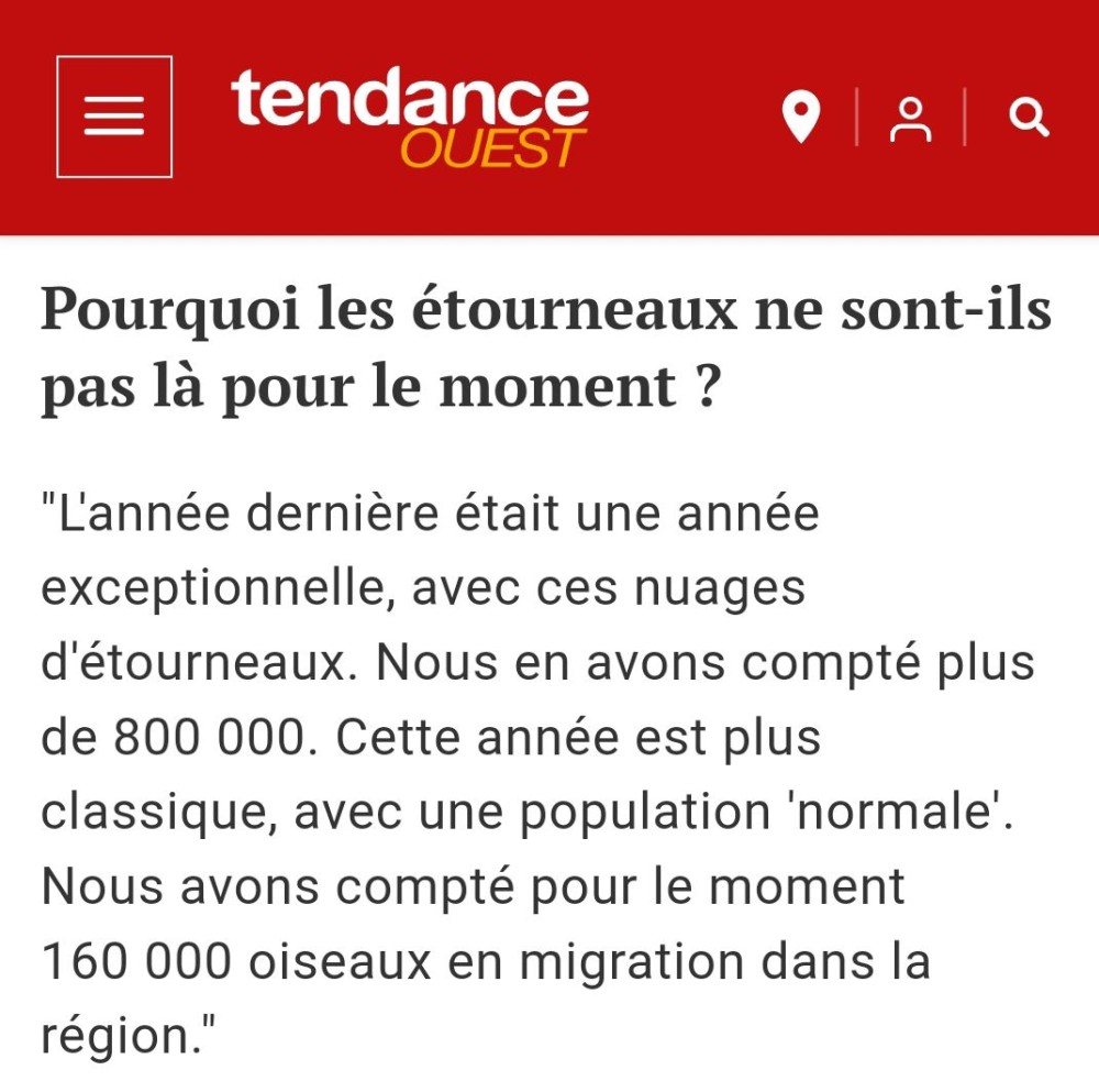 Etourneau2_Tendance_Ouest_ 20231201.jpg