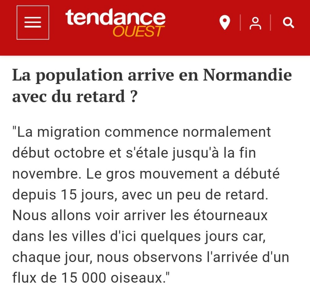 Etourneau4_Tendance_Ouest_ 20231201.jpg